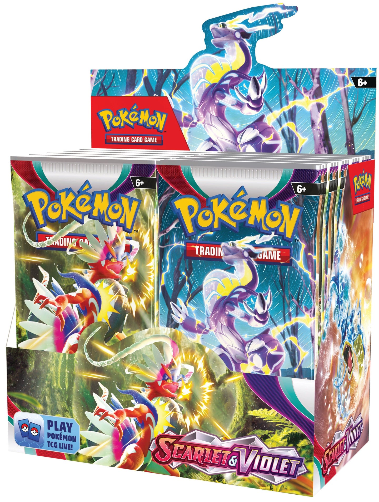 Pokemon Scarlet & Violet Base Set Booster Box (EN) - Pokecard Store